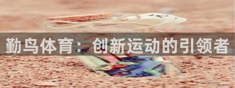 勤鸟体育：创新运动的引领者