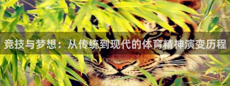 竞技与梦想：从传统到现代的体育精神演变历程