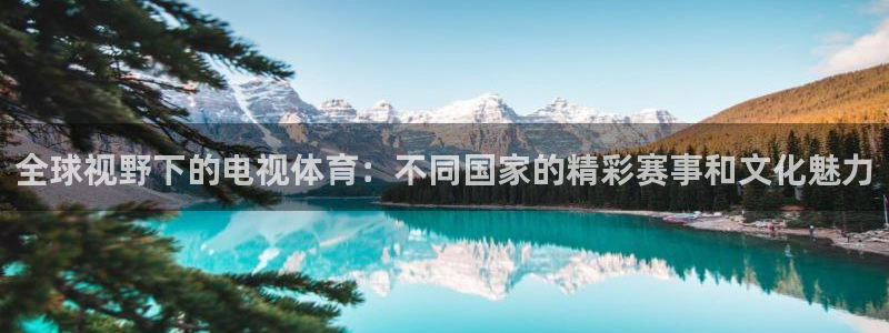 全球视野下的电视体育：不同国家的精彩赛事和文化魅力