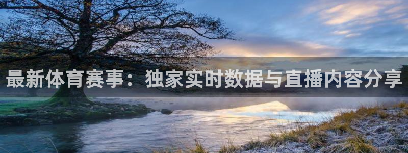 最新体育赛事：独家实时数据与直播内容分享