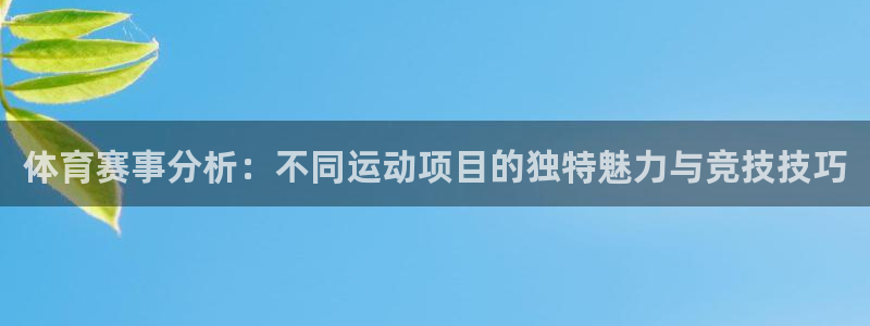 体育赛事分析：不同运动项目的独特魅力与竞技技巧