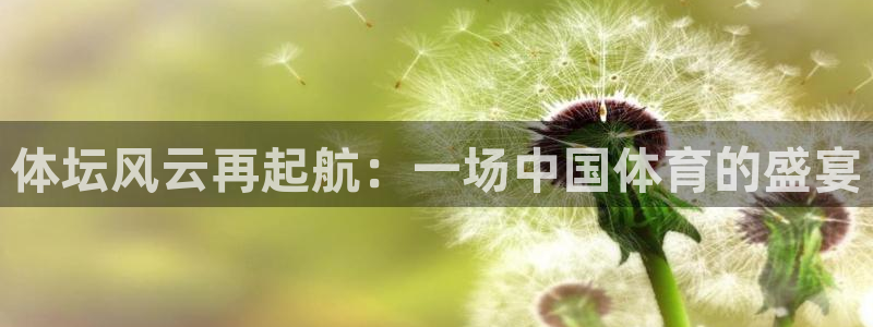 体坛风云再起航：一场中国体育的盛宴