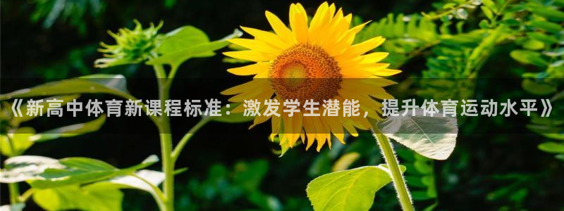 球皇看球收费吗：《新高中体育新课程标准：激发学生潜能，提升体育运动水平》