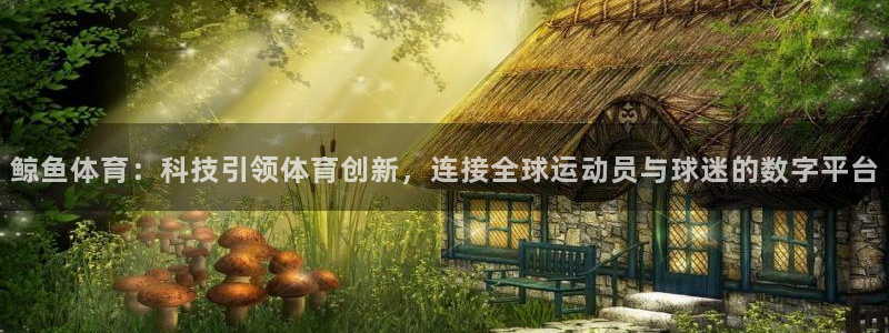 球皇网：鲸鱼体育：科技引领体育创新，连接全球运动员与球迷的数字平台