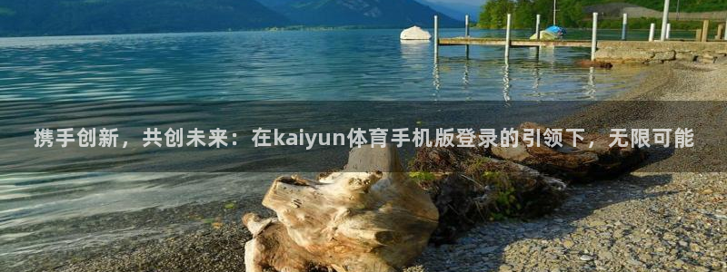 球皇直播网：携手创新，共创未来：在kaiyun体育手机版登录的引领下，无限可能