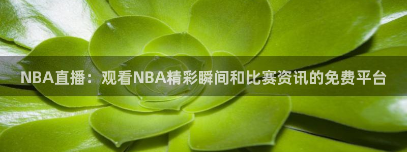 足球皇家贝蒂斯比赛：NBA直播：观看NBA精彩瞬间和比赛资讯的免费平台