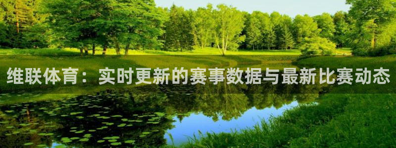 球皇看球收费吗：维联体育：实时更新的赛事数据与最新比赛动态