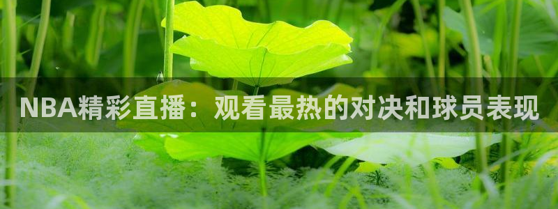 足球皇家贝蒂斯比赛：NBA精彩直播：观看最热的对决和球员表现