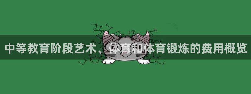 球皇看球nba