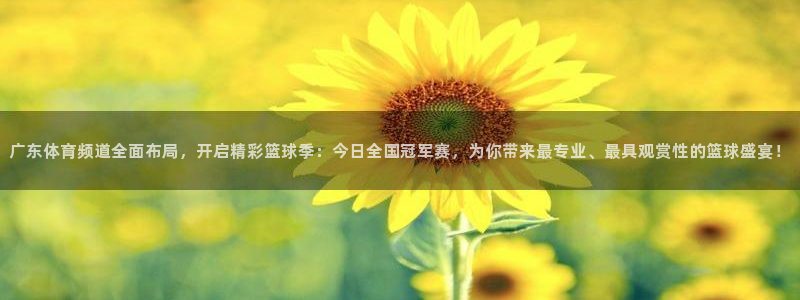球皇社nba：广东体育频道全面布局，开启精彩篮球季：今日全国冠军赛，为你带来最专
