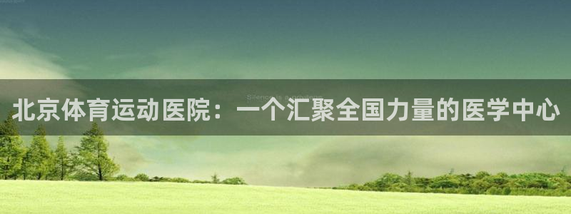 球皇网