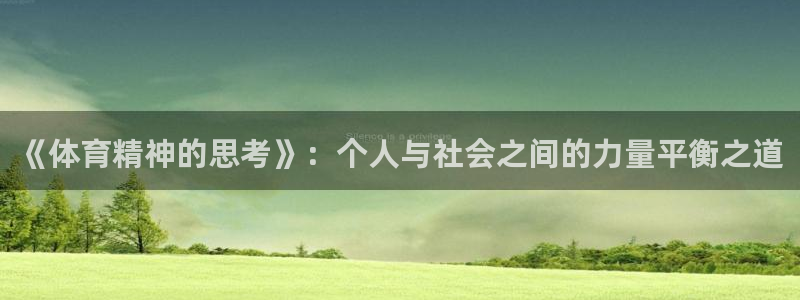 球皇看球nba：《体育精神的思考》：个人与社会之间的力量平衡之道
