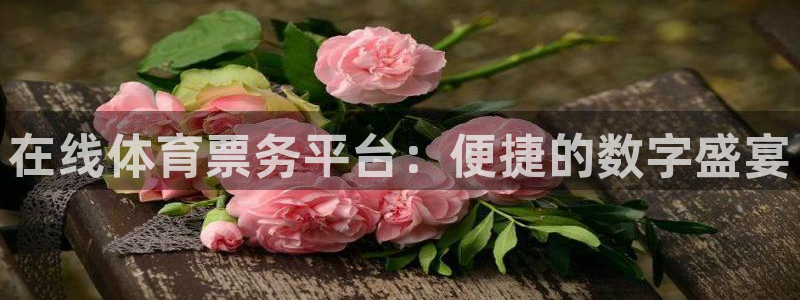 球皇看球在线