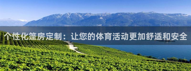 球皇看球最新版怎么下载