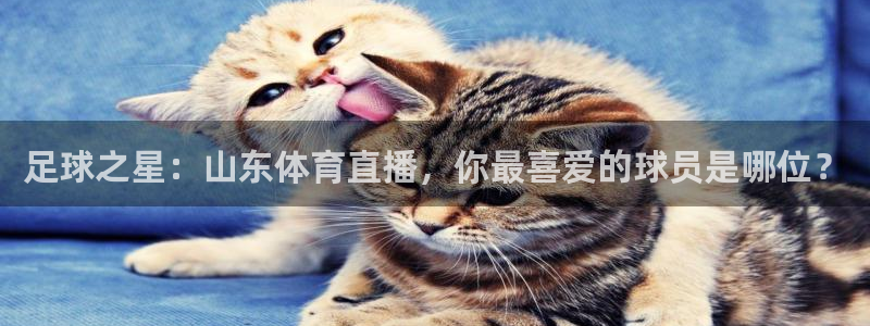 球皇体育：足球之星：山东体育直播，你最喜爱的球员是哪位？