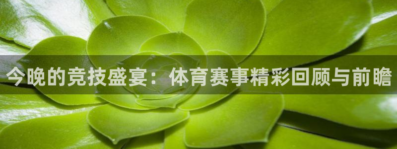 球皇直播网：今晚的竞技盛宴：体育赛事精彩回顾与前瞻