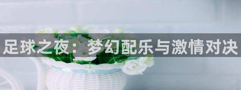 球皇看球nba